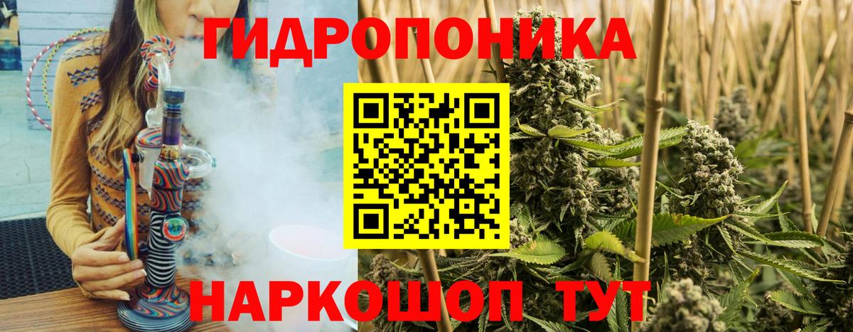 Конопля гибрид Кировск